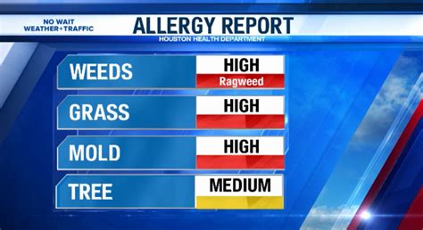 houston mold count|houston cedar pollen count.